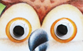 5316 Wackelaugen